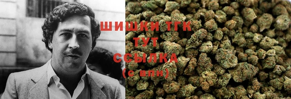 стаф Снежинск