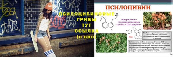 каннабис Белокуриха